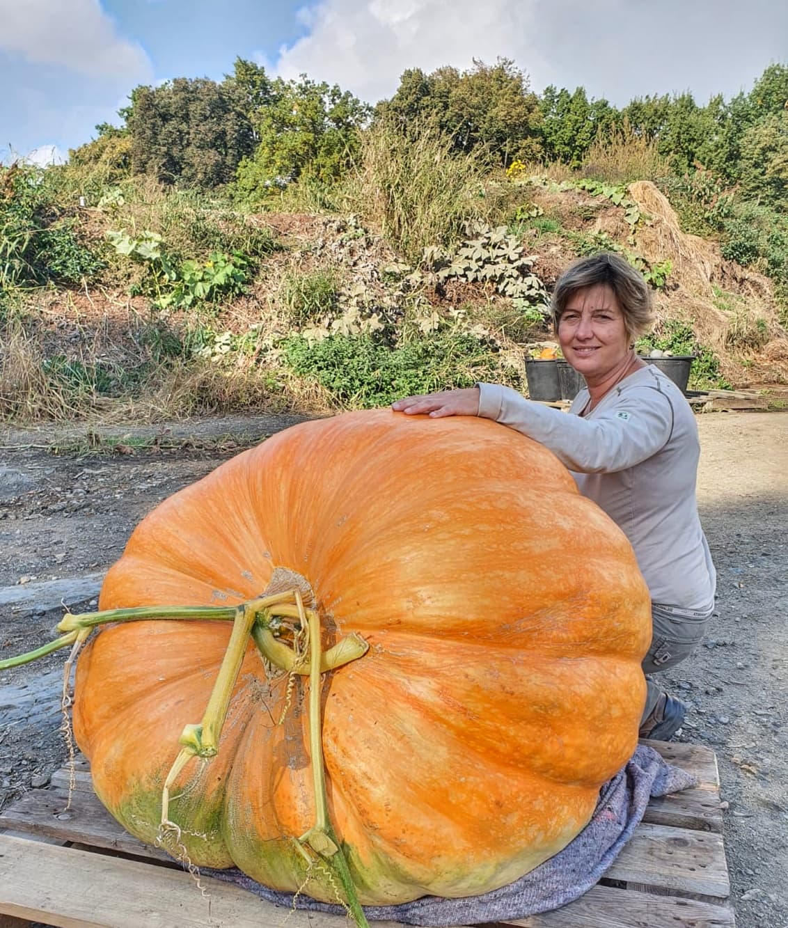 V Botanické zahradě Praha se koná Tajuplný dýňový podzim, nebudou chybět Dýňové hrátky ani Halloween