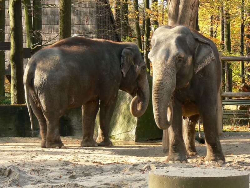 ZOO Liberec