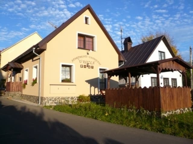 Penzion U KOZLA - Lázně Kynžvart