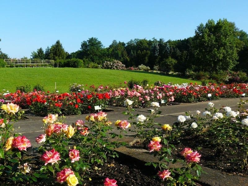 Botanická zahrada-Olomouc