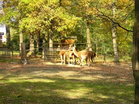 ZOO Brno