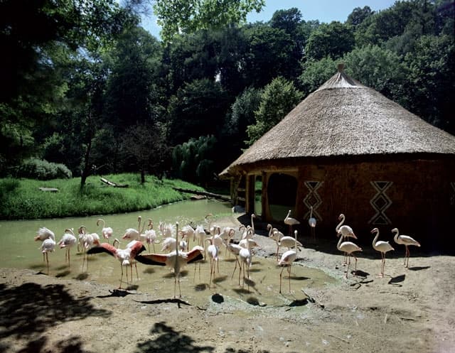 ZOO Jihlava