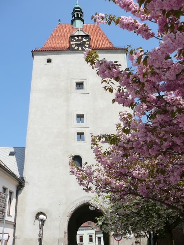 Muzeum rekordů a kuriozit Pelhřimov