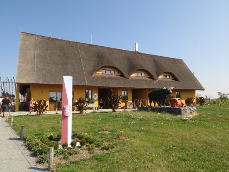 Hlavní vstup - nová zoo