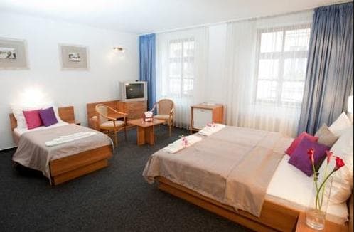 Hotel U České koruny