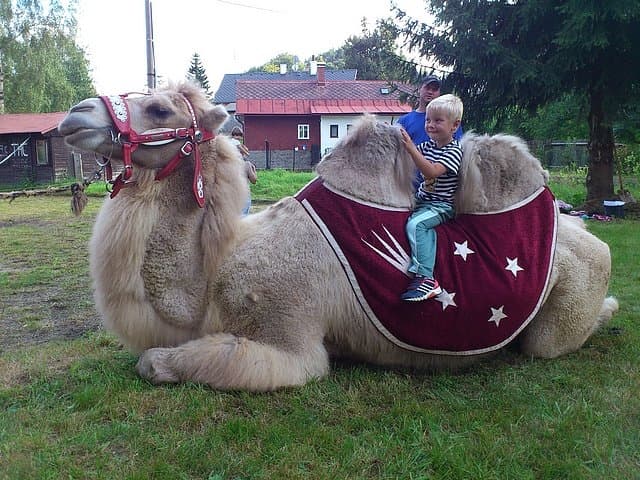 MInizoo Hrabětice
