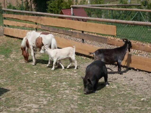 Minizoo Police nad Metují