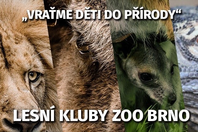 Zoo Brno pořádá prázdninové lesní kluby pro děti