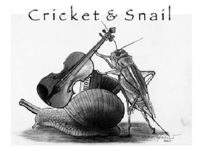 Cricket and Snail