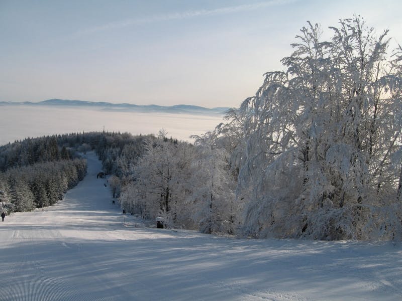 Ski areál Javorový Vrch