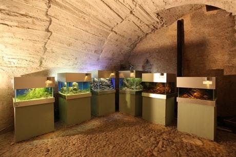 Akvárium Pod hladinou Vltavy v Praze