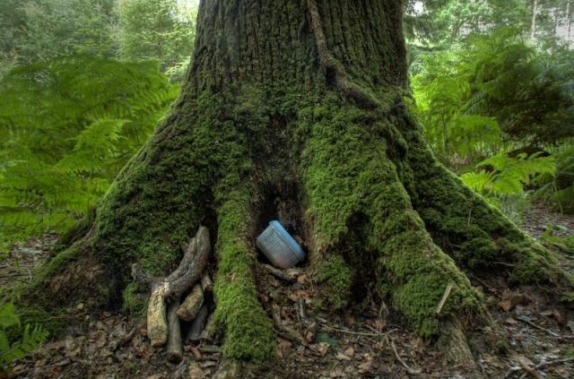  Geocaching - zdravá zábava na čerstvém vzduchu 