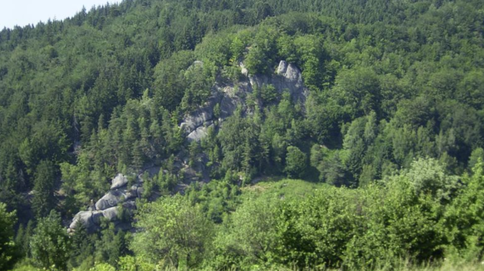 Pulčínské skály: Divoká příroda Beskyd